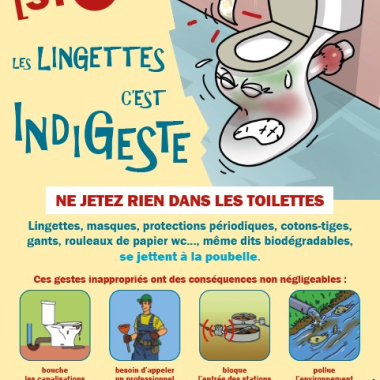 Siah Lingettes