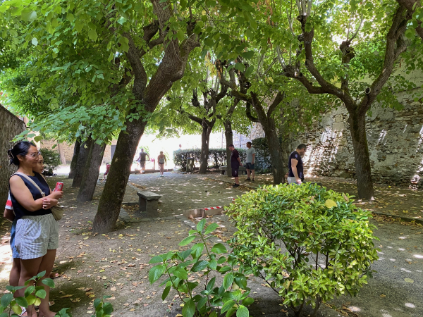 Pétanque 2025 1